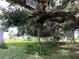 Lush backyard featuring mature trees providing ample shade and a serene view at 2700 Cherokee Rd, St Cloud, FL 34772
