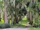 Long driveway lined with mature trees covered in Spanish moss, creating a picturesque setting at 2700 Cherokee Rd, St Cloud, FL 34772