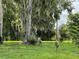 Lush lawn featuring mature trees draped with Spanish moss and a group of Sandhill Cranes at 2700 Cherokee Rd, St Cloud, FL 34772