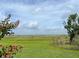 Scenic marsh view with vibrant green grass and a clear blue sky filled with fluffy white clouds at 2700 Cherokee Rd, St Cloud, FL 34772