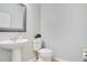 Powder room features a pedestal sink and a toilet with a plant accent on the tank at 4918 Wildwood Pointe Rd, Winter Garden, FL 34787