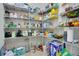 Walk-in pantry with ample shelving for organized storage of food items and supplies at 4918 Wildwood Pointe Rd, Winter Garden, FL 34787