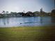 Picturesque pond with waterfowl in a community with residential homes surrounding at 5661 Parkview Lake Dr, Orlando, FL 32821