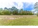 A tree-lined street sits on a sunny day surrounded by verdant vegetation and a cloud dappled blue sky at 13 Oak Trail Pl, Ocala, FL 34472