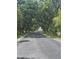 Tree-lined street offering a peaceful and shaded residential environment with well-maintained roads and greenery at 204 Canary Island Cir, Davenport, FL 33837