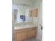 Bathroom featuring a single sink vanity, neutral paint, and wooden cabinets at 2141 Fawn Meadow Cir, St Cloud, FL 34772