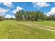 Expansive green grass field, shaded by mature trees on a partially cloudy day at 3181 Canter Ln, Kissimmee, FL 34746