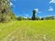 Lush backyard with vibrant green grass, scattered trees providing privacy, and a peaceful suburban setting at 4075 Packard Ave, St Cloud, FL 34772