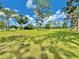 Expansive backyard showcasing lush green grass, mature trees, and a clear blue sky with scattered clouds at 4075 Packard Ave, St Cloud, FL 34772