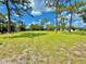 Large backyard featuring healthy grass, a classic black fence, and a peaceful setting under a bright sky at 4075 Packard Ave, St Cloud, FL 34772