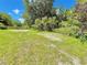 A large backyard is shown with ample green grass and natural landscaping at 4075 Packard Ave, St Cloud, FL 34772