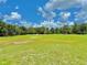 Expansive land featuring lush green grass and mature trees, ideal for outdoor activities and recreation at 4125 Packard Ave, St Cloud, FL 34772