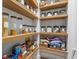 Well-stocked pantry with ample shelving, showcasing an array of neatly organized food items and containers at 933 Jasmine St, Celebration, FL 34747