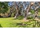 Large backyard shaded by mature trees with Spanish moss at 1101 Oregon Ave, St Cloud, FL 34769
