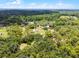 Expansive aerial view highlighting the home's lush green surroundings, offering privacy and natural beauty at 1781 Terra Verde Ln, Chuluota, FL 32766