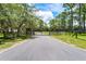 Long paved driveway and gated entrance flanked by lush trees at 1781 Terra Verde Ln, Chuluota, FL 32766