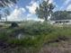 Overgrown pond area surrounded by lush greenery, adding natural charm to the property at 3050 Old Soldier Rd, Lakeland, FL 33810