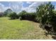 Backyard featuring lush lawn and unique foliage at 343 Marquee Dr, Kissimmee, FL 34758