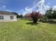 Fenced backyard with lush lawn, attractive flowering tree, and mature landscaping at 343 Marquee Dr, Kissimmee, FL 34758