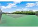 Community tennis courts with green playing surface and surrounded by lush greenery, perfect for active lifestyles at 746 Stonewyk Way, Kissimmee, FL 34744
