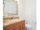 Half-bathroom features warm cabinets, granite countertops, a decorative mirror, and a toilet at 9905 Lanai View Ct, Windermere, FL 34786