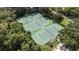 Overhead view of community tennis courts surrounded by mature trees at 9905 Lanai View Ct, Windermere, FL 34786