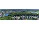 Aerial community view featuring mature trees, ponds, and well-maintained homes at 1014 Prey Ct, Kissimmee, FL 34746