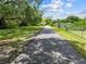 Long driveway with mature trees lining either side, leading to the property beyond the yard at 2571 Ames Haven Rd, Kissimmee, FL 34744