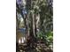 Home exterior with a large tree draped with Spanish moss, and a wooden deck at 5019 Pineapple St, Lake Wales, FL 33898