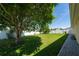 Green backyard featuring lush grass, a large tree, and a paved walkway, perfect for outdoor activities at 5100 Violet Ln, Kissimmee, FL 34758