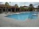 Enjoy the community pool surrounded by palm trees and comfortable lounge chairs at 5231 Wildwood Way, Davenport, FL 33837