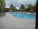 Community pool surrounded by palm trees and lounge chairs, perfect for relaxation at 5231 Wildwood Way, Davenport, FL 33837