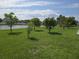 Expansive backyard with young trees and serene water views at 2357 Great Harbor Dr, Kissimmee, FL 34746