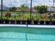 This serene view showcases a private pool with lush landscaping, perfect for a refreshing dip at 2357 Great Harbor Dr, Kissimmee, FL 34746