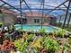Inground pool surrounded by colorful landscaping, a screened enclosure, and the home's beige exterior at 2357 Great Harbor Dr, Kissimmee, FL 34746