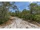 Image of a sandy driveway that is surrounded by lush trees at 2576 R E Byrd Rd, Frostproof, FL 33843
