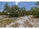 Yard view of an outbuilding surrounded by lush trees at 2576 R E Byrd Rd, Frostproof, FL 33843