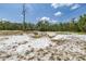 Lot feature showing the expansive sandy lot, a dry well with wooden support, and lots of tree coverage at 2576 R E Byrd Rd, Frostproof, FL 33843
