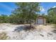 A view of the shed and surrounding land with lush green trees at 2576 R E Byrd Rd, Frostproof, FL 33843
