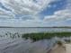 Scenic view of the expansive lake from the property's shoreline at 4056 Ashton Club Dr, Lake Wales, FL 33859