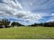 Expansive green space with mature trees lining the street, highlighting the community's beautiful and open environment at 8359 Lookout Pointe Dr, Windermere, FL 34786