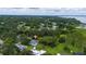 Aerial view of neighborhood, surrounded by mature trees and close to a pond at 113 W Division St, Winter Garden, FL 34787