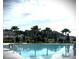 Inviting community pool surrounded by lush landscaping and palm trees at 1591 Barberry Dr, Kissimmee, FL 34744