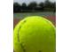 Close-up of a tennis ball showcasing recreational opportunities available at 1591 Barberry Dr, Kissimmee, FL 34744
