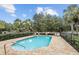 Community pool surrounded by lush landscaping, lounge chairs, and a secure fence at 196 Canterbury Bell Dr, Oviedo, FL 32765