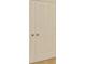 Bedroom closet with double doors, carpet flooring and natural light at 2833 Noble Crow Dr, Kissimmee, FL 34744