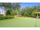 A verdant putting green for golf enthusiasts to perfect their short game at 2550 Renshaw St, Kissimmee, FL 34747