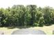 View of backyard, screen enclosed pool and a wooded backdrop at 838 Sandy Ridge Dr, Davenport, FL 33896