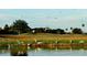Scenic view of a golf course and pond with several birds and a community home in the background at 934 Westpark Dr, Celebration, FL 34747