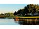 A beautiful view of a community pond with various birds and a home in the distance surrounded by mature trees at 934 Westpark Dr, Celebration, FL 34747